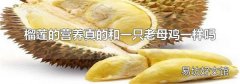 榴莲的营养真的和一只老母鸡一样吗