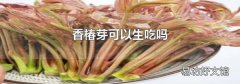 香椿芽可以生吃吗