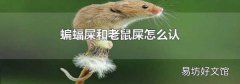 蝙蝠屎和老鼠屎怎么认