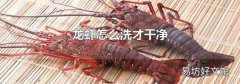 龙虾怎么洗才干净