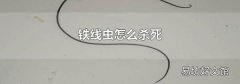 铁线虫怎么杀死