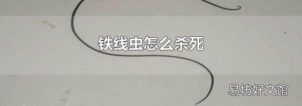 铁线虫怎么杀死