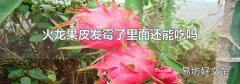 火龙果皮发霉了里面还能吃吗