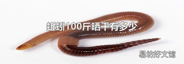 蚯蚓100斤晒干有多少