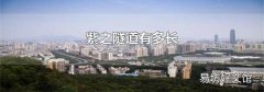 紫之隧道有多长