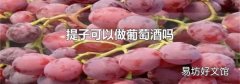 提子可以做葡萄酒吗