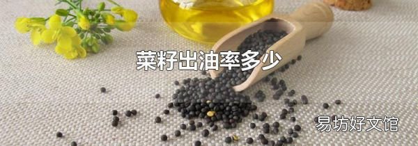 菜籽出油率多少