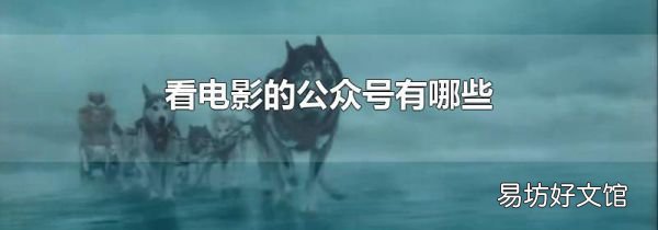 看电影的公众号有哪些