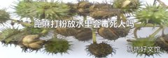 蓖麻打粉放水里会毒死人吗