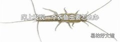 床上发现一个衣鱼虫要怎么办