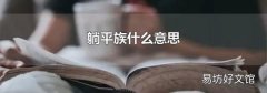 躺平族什么意思