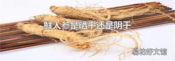 鲜人参是晒干还是阴干