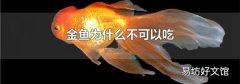 金鱼为什么不可以吃