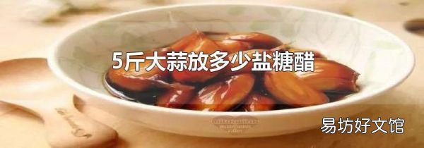 5斤大蒜放多少盐糖醋