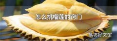 怎么挑榴莲的窍门