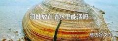 河蚌放在清水里能活吗