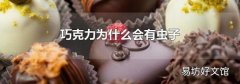 巧克力为什么会有虫子
