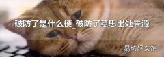 破防了是什么梗_破防了意思出处来源