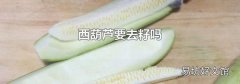 西葫芦要去籽吗