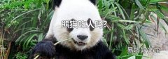 熊猫吃人吗?