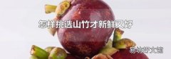 怎样挑选山竹才新鲜又好