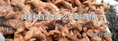 良姜和白芷为什么不能同时用