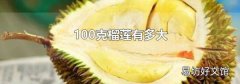 100克榴莲有多大