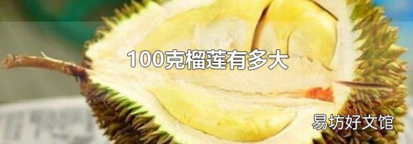100克榴莲有多大