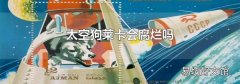 太空狗莱卡会腐烂吗