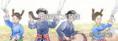 中国第二大民族