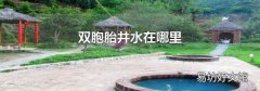 双胞胎井水在哪里