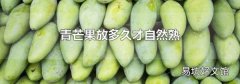 青芒果放多久才自然熟