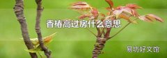 香椿高过房什么意思