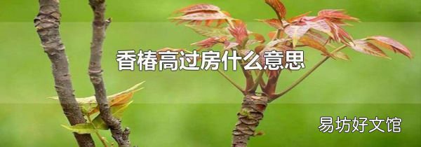 香椿高过房什么意思