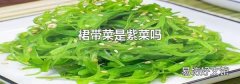 裙带菜是紫菜吗
