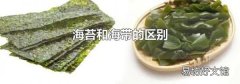 海苔和海带的区别