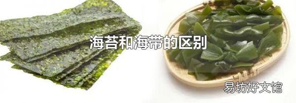 海苔和海带的区别