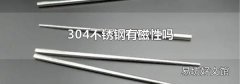 304不锈钢有磁性吗