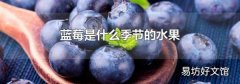蓝莓是什么季节的水果