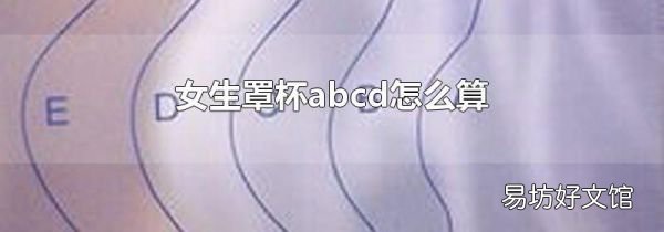 女生罩杯abcd怎么算