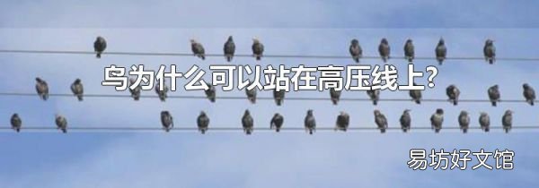 鸟为什么可以站在高压线上?