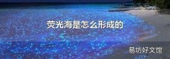 荧光海是怎么形成的