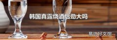 韩国真露烧酒后劲大吗