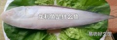 龙利鱼是什么鱼