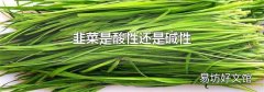 韭菜是酸性还是碱性