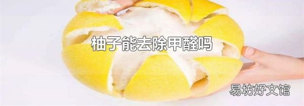 柚子能去除甲醛吗