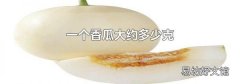 一个香瓜大约多少克