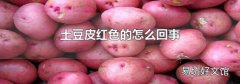 土豆皮红色的怎么回事