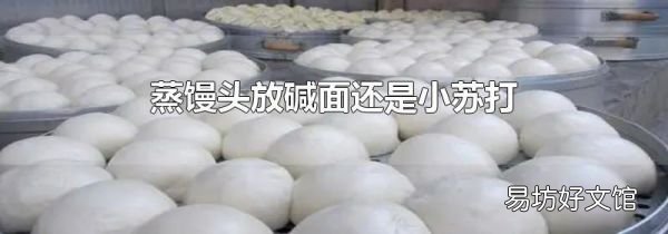 蒸馒头放碱面还是小苏打