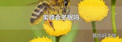 蜜蜂会冬眠吗